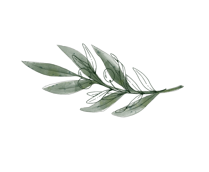 Olive Sisters Creative Co.